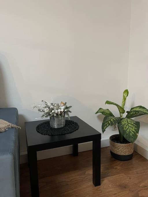 Apartament La Casa Тимишоара Екстериор снимка